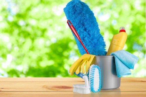 Professional upholstery cleaning service for SE16 sofas in a modern apartment