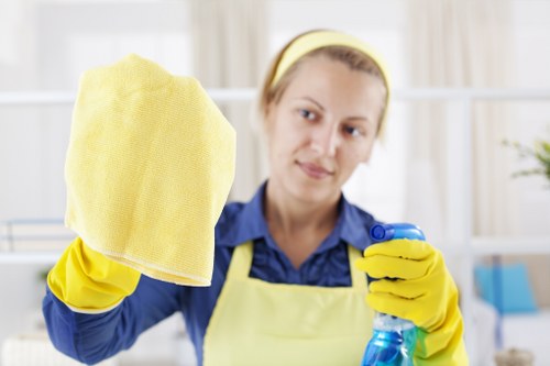 Professional rug cleaning service for a SE16 home interior