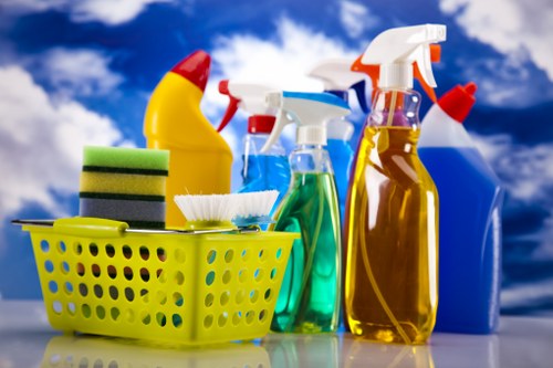 Professional domestic cleaning for a flat in SE16