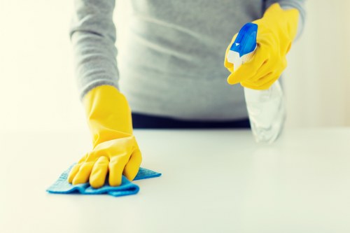 Professional deep cleaning for a SE16 apartment