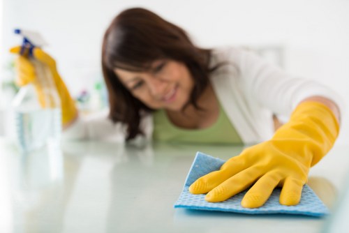 Related carpet, rug and upholstery cleaning services